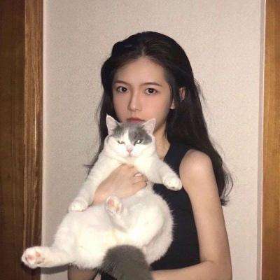 龙之歌放置城堡bt版下载